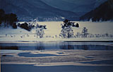 冬湖の情景