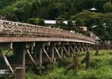 岸田　一彦　「新緑の渡月橋」