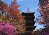 松本　栄治　「春の塔」