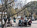 乃木神社境内