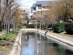 水位が落ちた運河