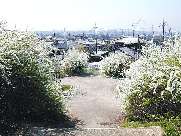 q삪