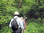 星田園地の尾根に登る