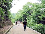尾根を越え管理道へ