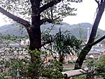 対岸には男山が