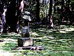 秋篠寺