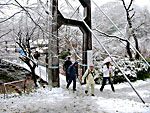 高野川左岸へ