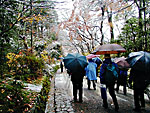 赤山禅院の参道