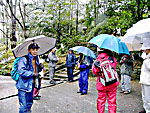 赤山禅院境内