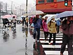 雨の上本町筋