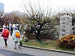 大阪城梅林