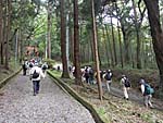 若山神社への道
