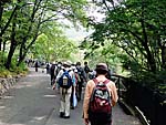 緑のセンターへ