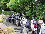 ひょうたん島コース登り