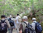 ジグザグの登り