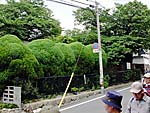 池田文庫