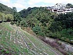 仁川の地すべり現場