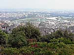 阪神競馬場