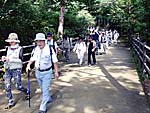 公園内の広い道をゆく