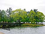 膳所城跡公園遠望