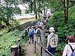 名木川緑道