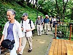 名木川緑道を行く