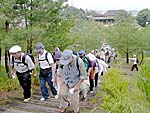 太陽が丘への階段