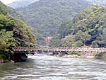 宇治川左岸