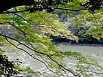 涛涛と流れる宇治川
