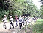 宇治川右岸遊歩道