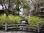 松尾大社名水の小川