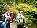 華厳寺（鈴虫寺）の庭園
