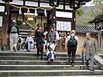 松尾大社の階段
