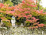 天龍寺境内の紅葉