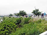 右岸の緑道を行く