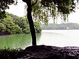 水辺広場を望む