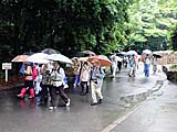 北口付近を竹屋峠に向かう
