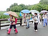 山田池大橋