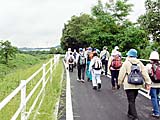 左岸遊歩道を藤阪駅に