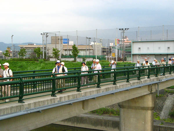 V̐hn