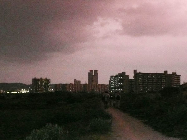 t݂̒鍠A|cƉJAEI[N͗[PƂȂ