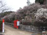 中山観音公園（梅林）入口