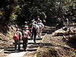 東山山道に入る