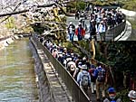 疎水沿いジョギングコースを往く