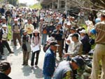 集合・例会案内・多数回表彰・次月案内