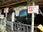 ここはマムシやスズメ蜂が多い怖い場所らしい