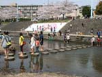 「芥川桜堤公園」で楽しく遊ぶ子供達