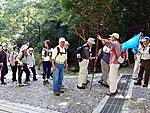 ぼうけんの路への分岐