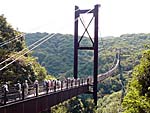 吊り橋「星のブランコ」