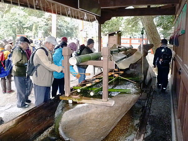 ご神水で禊